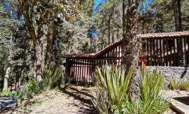 Las Flores, Mineral del Monte – Naturaleza, Estilo y Libertad para Construir Tu Futuro