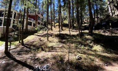 Las Flores, Mineral del Monte – Naturaleza, Estilo y Libertad para Construir Tu Futuro