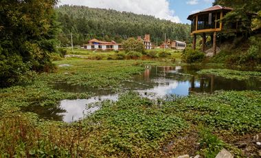 Las Flores, Mineral del Monte – Naturaleza, Estilo y Libertad para Construir Tu Futuro