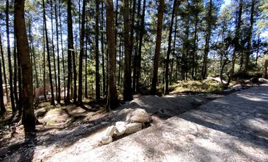 Las Flores, Mineral del Monte – Naturaleza, Estilo y Libertad para Construir Tu Futuro