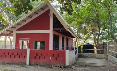 Horse Ranch with Rest House for Sale in Calatagan, Batangas