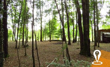 2 Cabañas, Parcela 5000m² con Rio a 6km de Villarrica