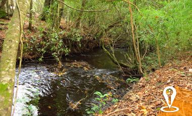 2 Cabañas, Parcela 5000m² con Rio a 6km de Villarrica