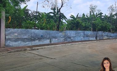 FOR SALE: 4,470 sqm (1,490 sqm/each) Vacant Lot in Marikina City