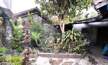 Rumah Klasik Halaman Luas dekat Kampus UMM