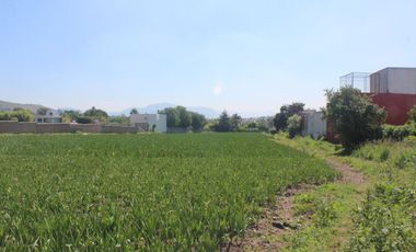 TERRENO  EN VENTA PARA INVERSIONISTAS EN ATLIXCO
