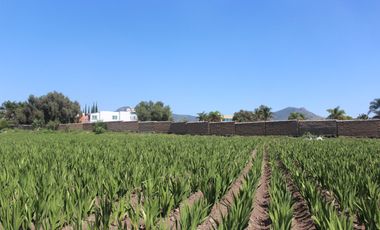 TERRENO  EN VENTA PARA INVERSIONISTAS EN ATLIXCO