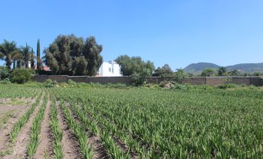 TERRENO  EN VENTA PARA INVERSIONISTAS EN ATLIXCO