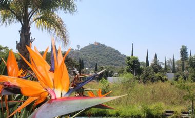 TERRENO  EN VENTA PARA INVERSIONISTAS EN ATLIXCO
