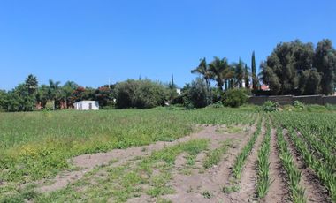 TERRENO  EN VENTA PARA INVERSIONISTAS EN ATLIXCO