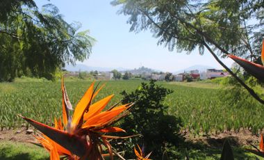 TERRENO  EN VENTA PARA INVERSIONISTAS EN ATLIXCO