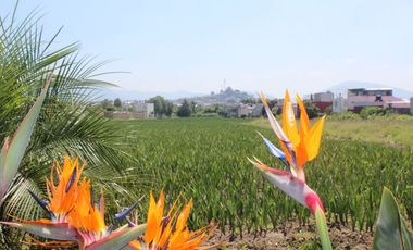 TERRENO  EN VENTA PARA INVERSIONISTAS EN ATLIXCO