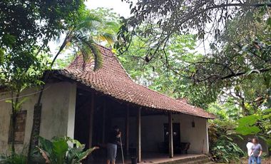 Rumah Joglo Halaman Luas Cocok Untuk Villa di Cangkringan
