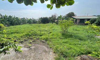 FOR SALE LOT IDEAL FOR FARM RESORT IN MAGALANG PAMPANGA NEAR ANGELES FLYING CLUB
