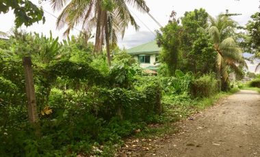Affordable 1000sqm Lot for Sale in Bulua