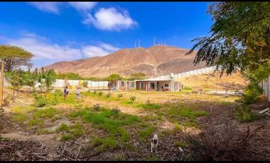 Venta De Casa Huerta 2300 M2 En Salas