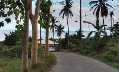 For Sale Pre-Selling Bedrooms 2 Storey Single House in Sam Fernando, Cebu