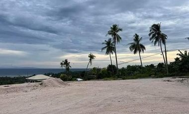 For Sale Pre-Selling Bedrooms 2 Storey Single House in Sam Fernando, Cebu