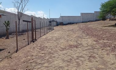 TERRENO EN RENTA DE 6000M2 BARDEADO EN SAN JUAN DEL RIO