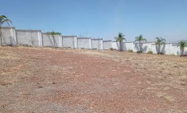 TERRENO EN RENTA DE 6000M2 BARDEADO EN SAN JUAN DEL RIO