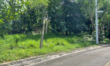 401 sqm Lot for Sale in Antipolo City