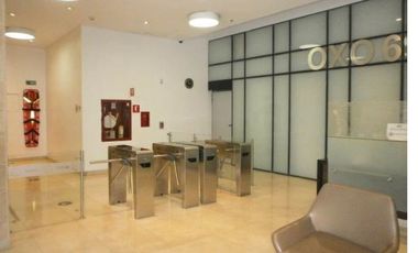 Renta De Oficinas Edificio Oxo 69