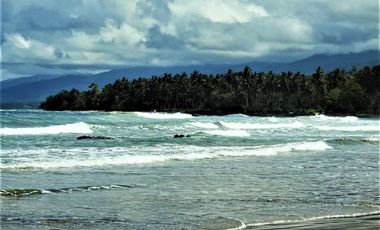 Coastal Living at It's Best in Palawan Philippines-Pending Sale