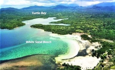 Coastal Living at It's Best in Palawan Philippines-Pending Sale