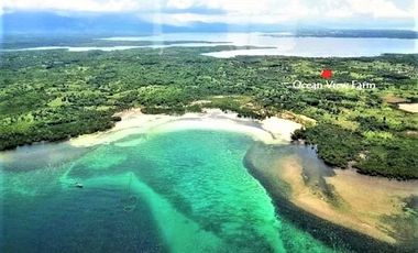 Coastal Living at It's Best in Palawan Philippines-Pending Sale