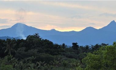 Coastal Living at It's Best in Palawan Philippines-Pending Sale