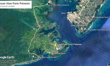 Coastal Living at It's Best in Palawan Philippines-Pending Sale