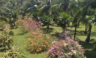 Coastal Living at It's Best in Palawan Philippines-Pending Sale