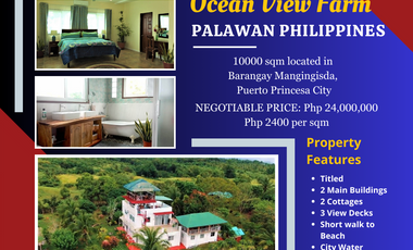 Palawan Coastal Living at It's Best- Ocean View Farm Palawan For Sale