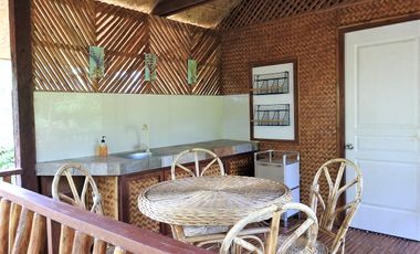 Coastal Living at It's Best in Palawan Philippines-Pending Sale