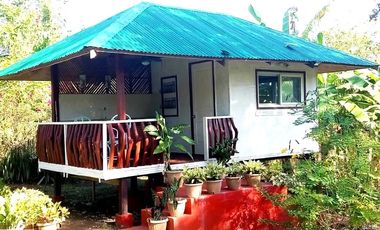 Coastal Living at It's Best in Palawan Philippines-Pending Sale