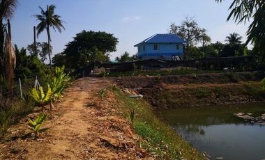 2-story garden house on an area of 1 rai 312 square wa. Mod Daeng Subdistrict, Si Prachan District, Suphan Buri, next to a concrete road along an irri