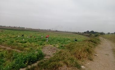 VENTA DE TERRENOS AGRÍCOLAS DE 1.2 HA (5 TERRENOS)