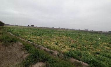 VENTA DE TERRENOS AGRÍCOLAS DE 1.2 HA (5 TERRENOS)