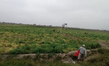 VENTA DE TERRENOS AGRÍCOLAS DE 1.2 HA (5 TERRENOS)