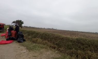 VENTA DE TERRENOS AGRÍCOLAS DE 1.2 HA (5 TERRENOS)