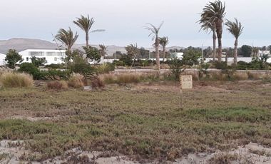 REMATO terreno de 344 metros en Condominio Oasis de Paracas USD 110,000 Negociables.