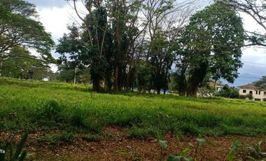 Residential Lot for Sale in Tiaong Quezon