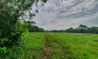 9804 sqm Farm Lot in Lipa City, Batangas FOR SALE