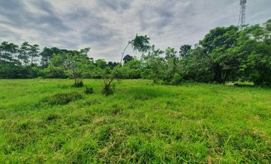 9804 sqm Farm Lot in Lipa City, Batangas FOR SALE