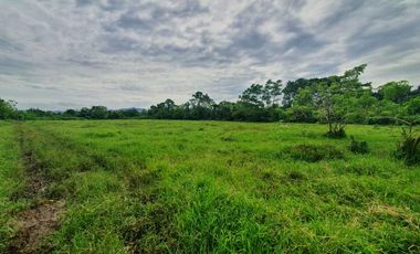 9804 sqm Farm Lot in Lipa City, Batangas FOR SALE