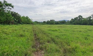 9804 sqm Farm Lot in Lipa City, Batangas FOR SALE