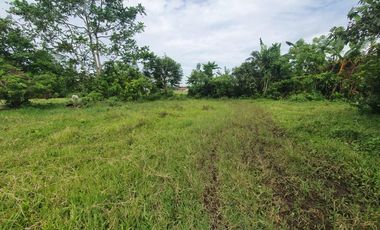 9804 sqm Farm Lot in Lipa City, Batangas FOR SALE