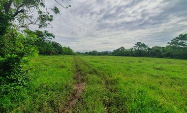 9804 sqm Farm Lot in Lipa City, Batangas FOR SALE
