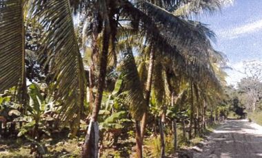 Terreno en Venta en Cunduacan