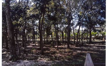 Terreno en Venta en Cunduacan